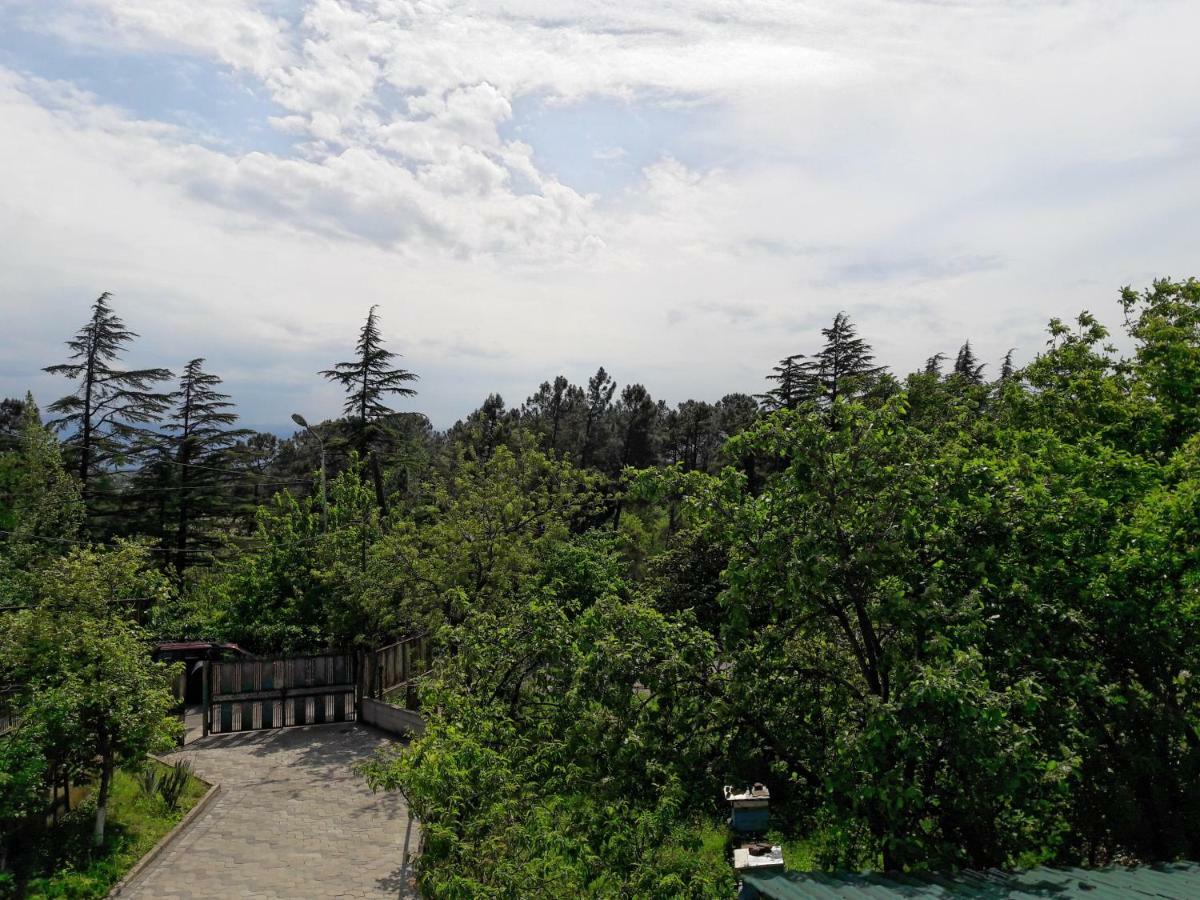 Sataplia District Hotel Kutaisi Ngoại thất bức ảnh